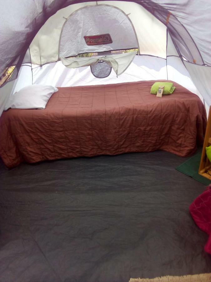 Camping & Travel Antigua Екстер'єр фото
